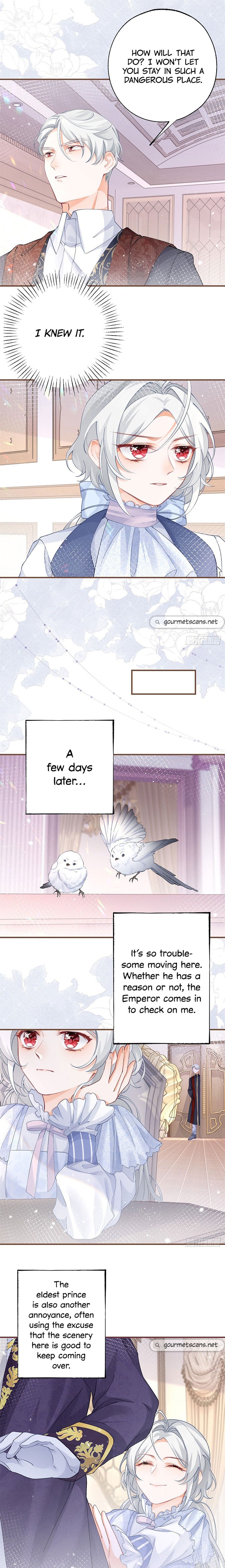 I Became the Sacrificial Princess Chapter 34 - page 3