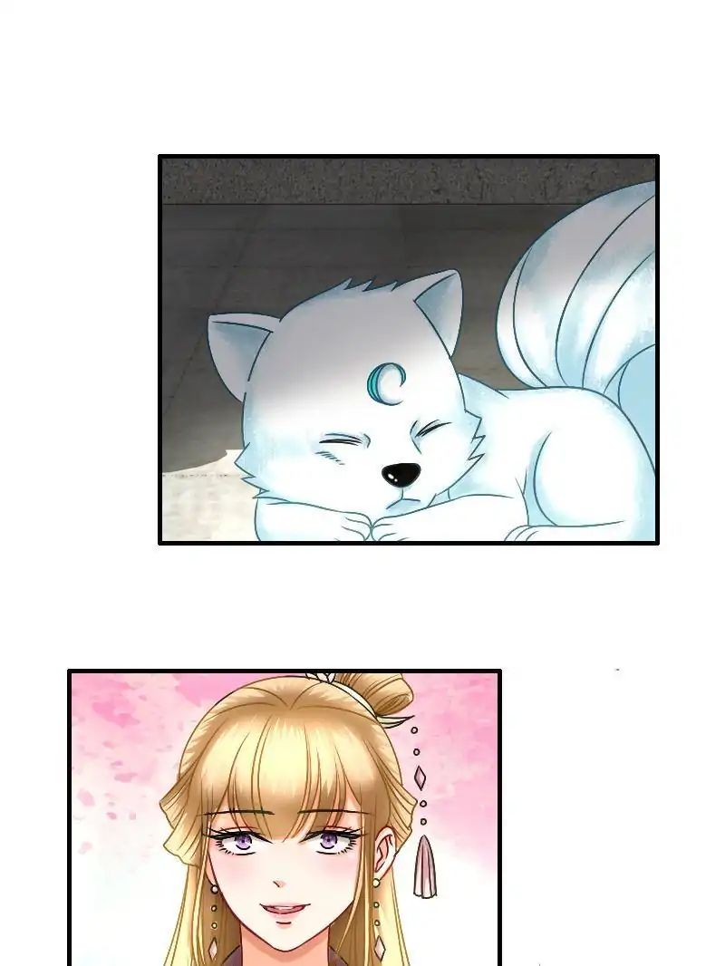 Miracle Doctor，Abandoned Girl chapter 31 - page 67