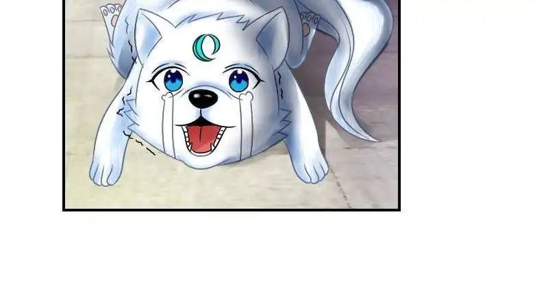 Miracle Doctor，Abandoned Girl chapter 31 - page 92