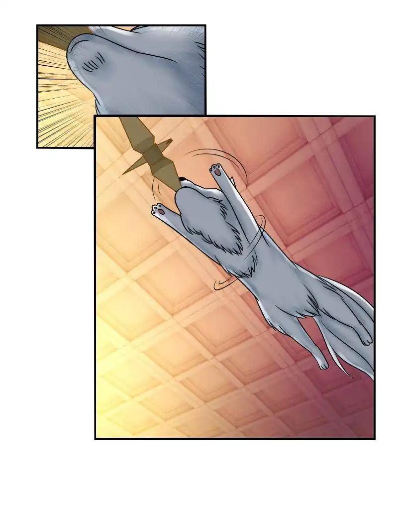 Miracle Doctor，Abandoned Girl chapter 29 - page 41