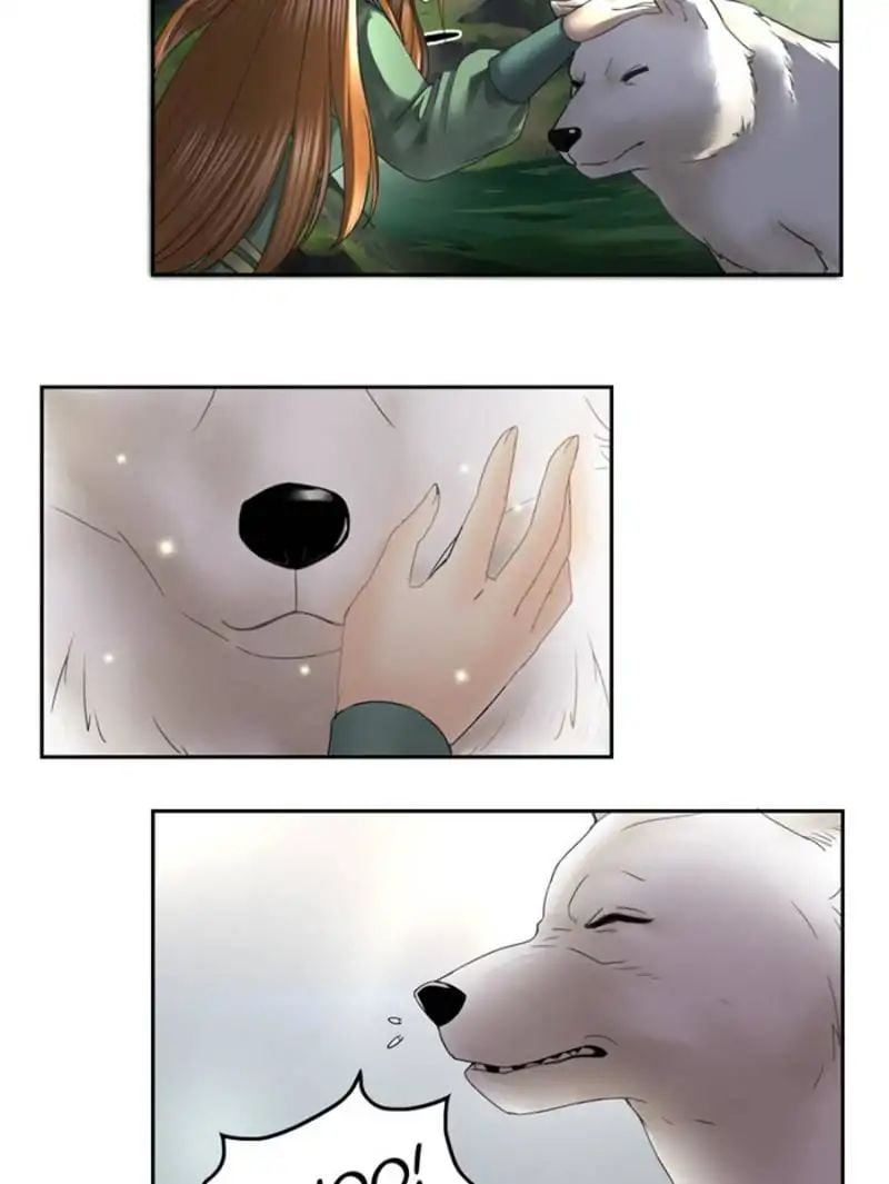 Miracle Doctor，Abandoned Girl chapter 20 - page 24