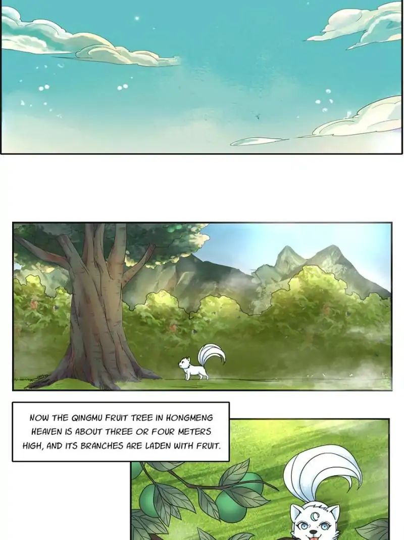 Miracle Doctor，Abandoned Girl chapter 14 - page 19