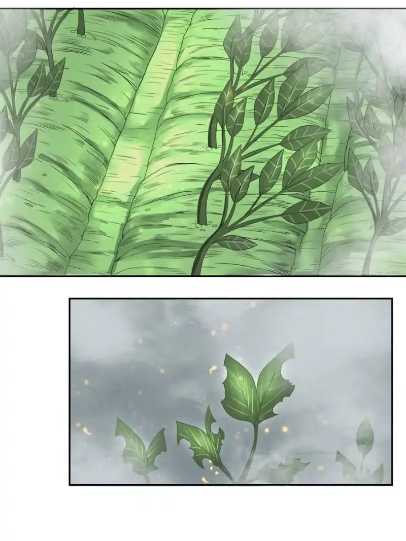 Miracle Doctor，Abandoned Girl chapter 6 - page 42