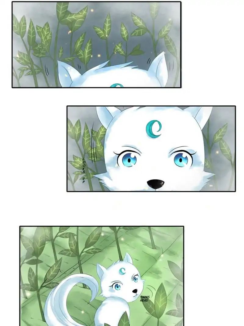 Miracle Doctor，Abandoned Girl chapter 6 - page 46