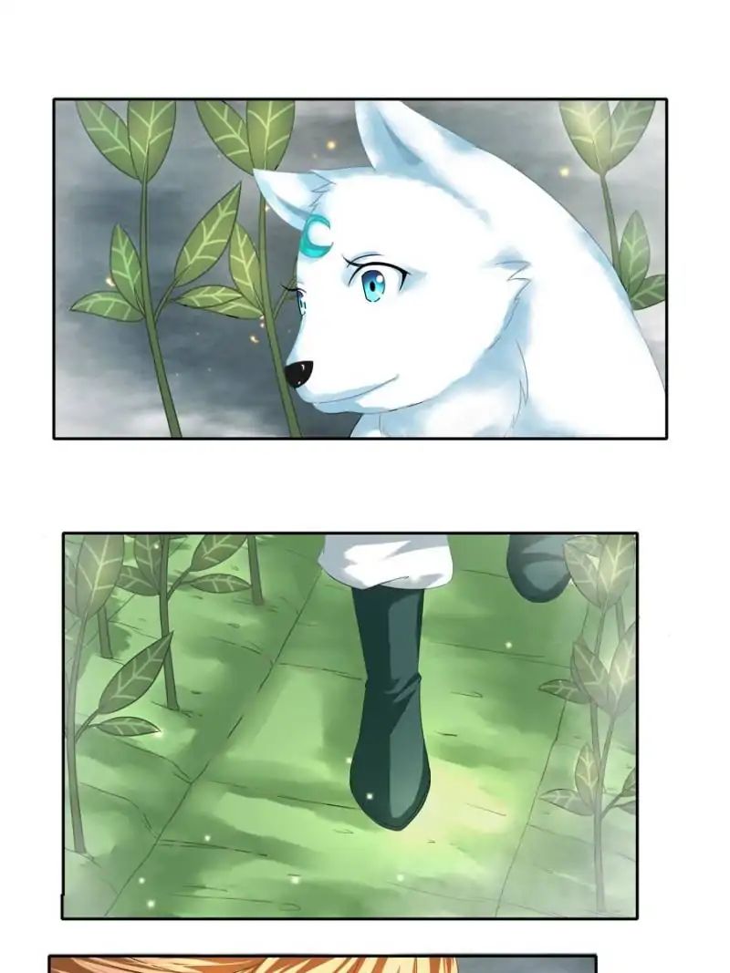 Miracle Doctor，Abandoned Girl chapter 6 - page 49