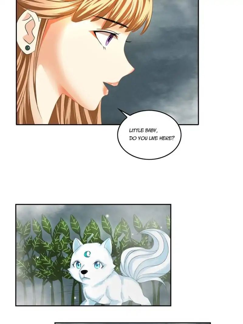 Miracle Doctor，Abandoned Girl chapter 6 - page 50