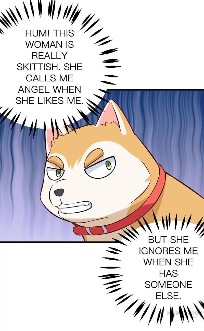 At Your Service, Kitty chapter 85 - page 33