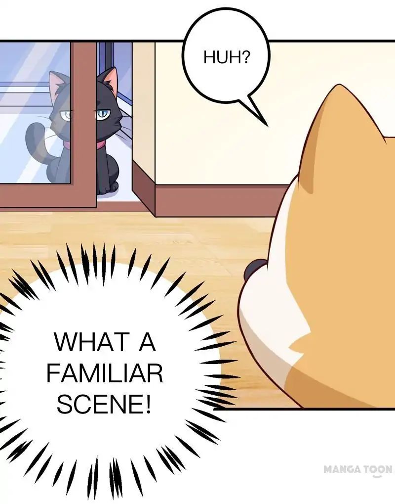 At Your Service, Kitty chapter 85 - page 34