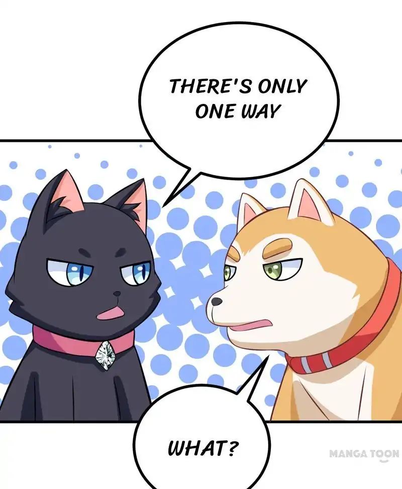 At Your Service, Kitty chapter 83 - page 1