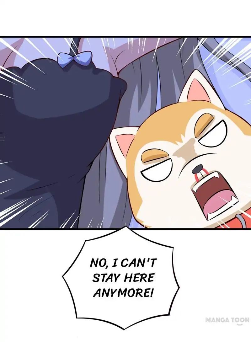 At Your Service, Kitty chapter 82 - page 13