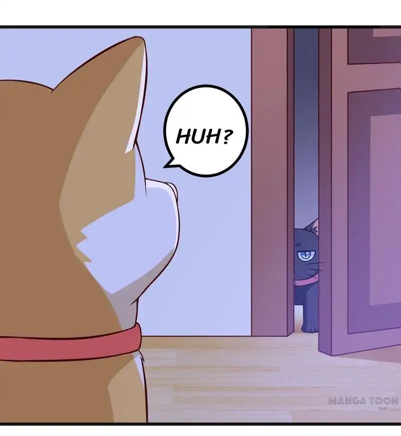 At Your Service, Kitty chapter 82 - page 15