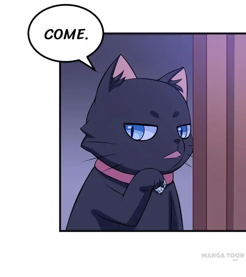 At Your Service, Kitty chapter 82 - page 16