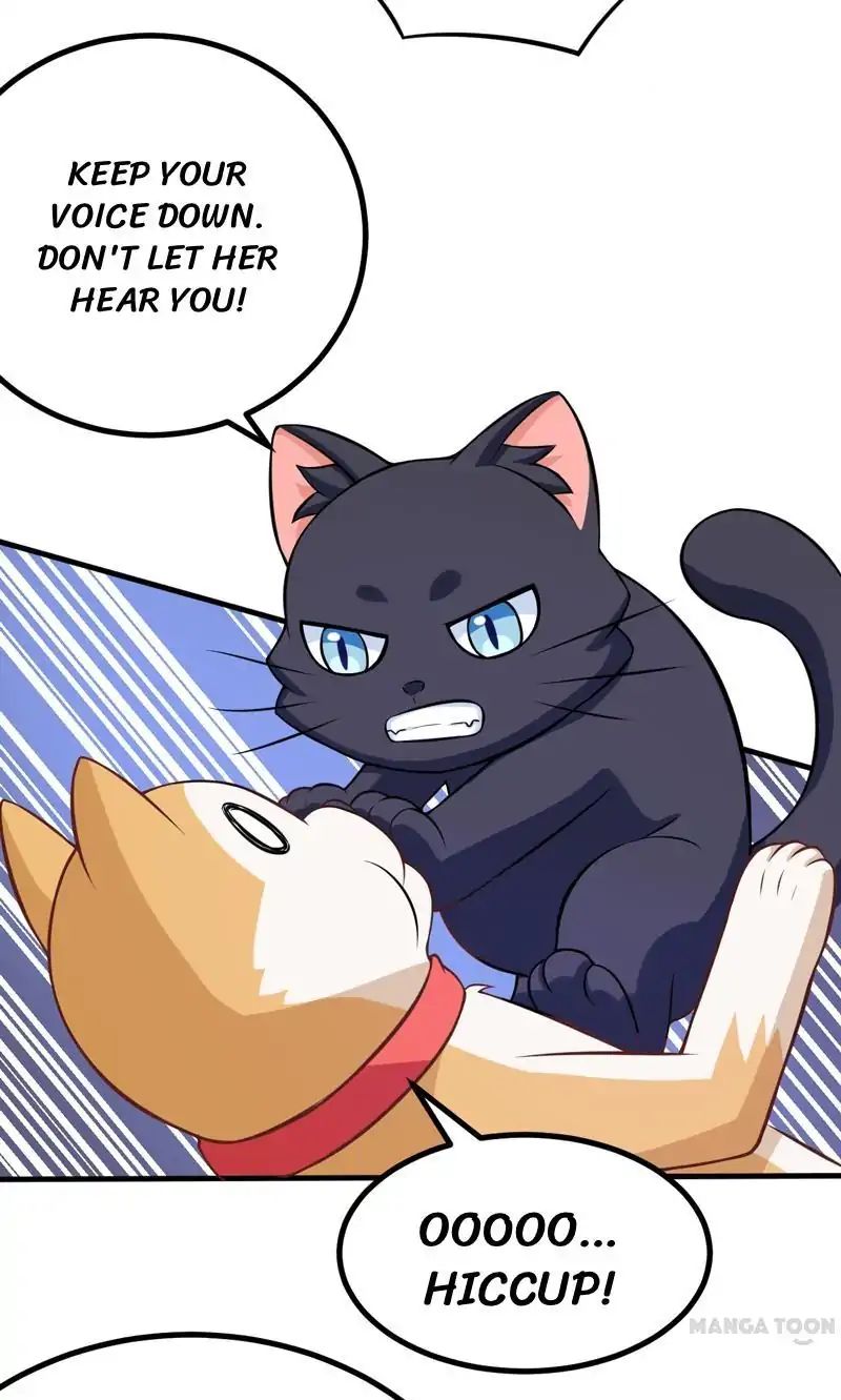 At Your Service, Kitty chapter 82 - page 19