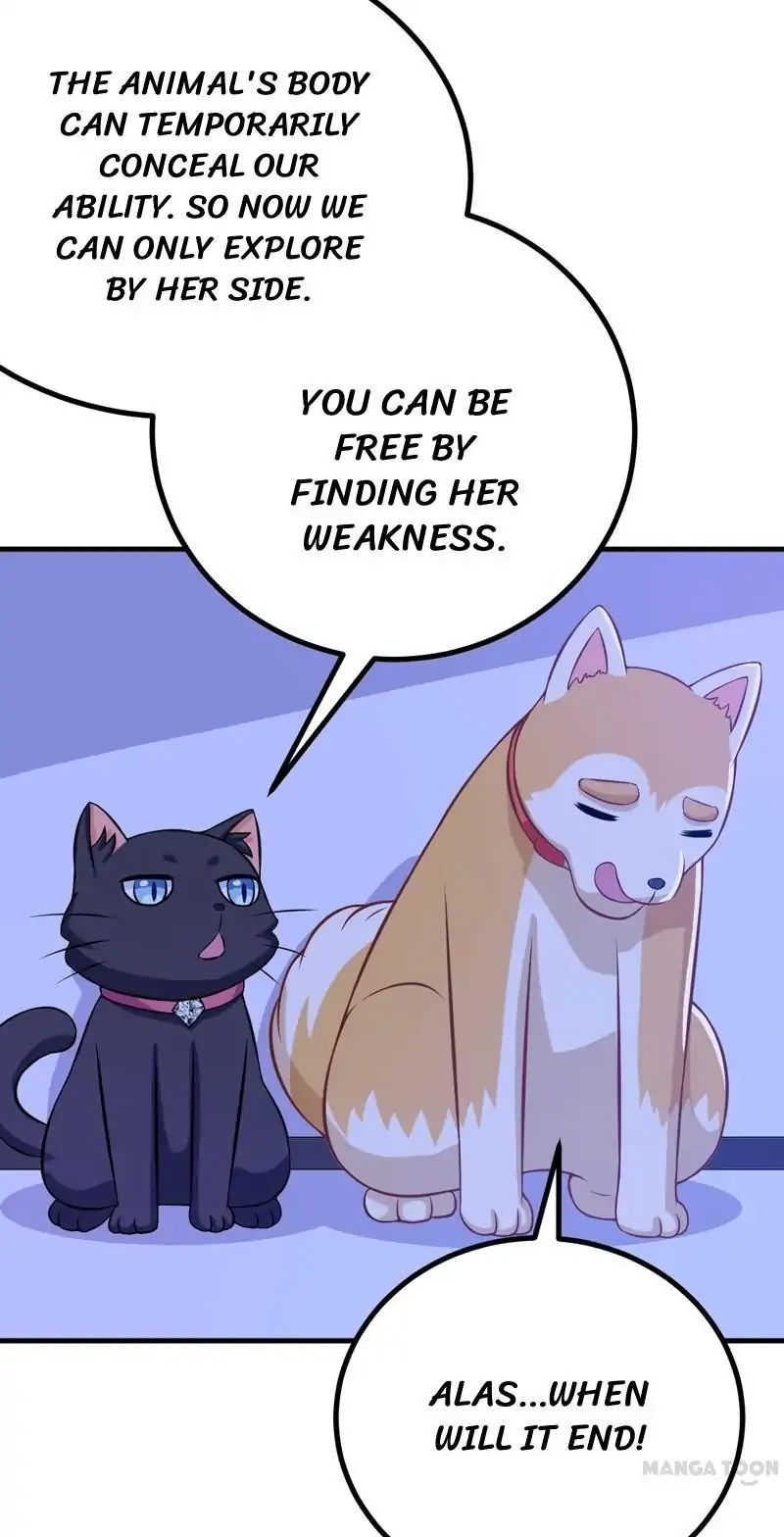 At Your Service, Kitty chapter 82 - page 20