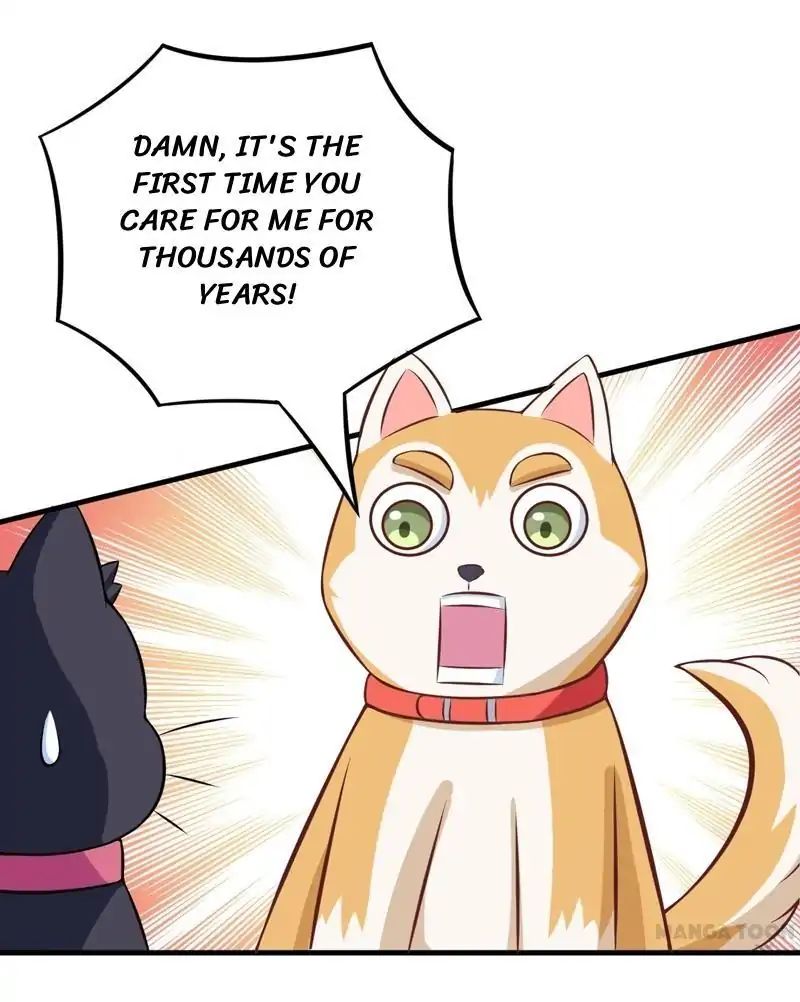 At Your Service, Kitty chapter 82 - page 22