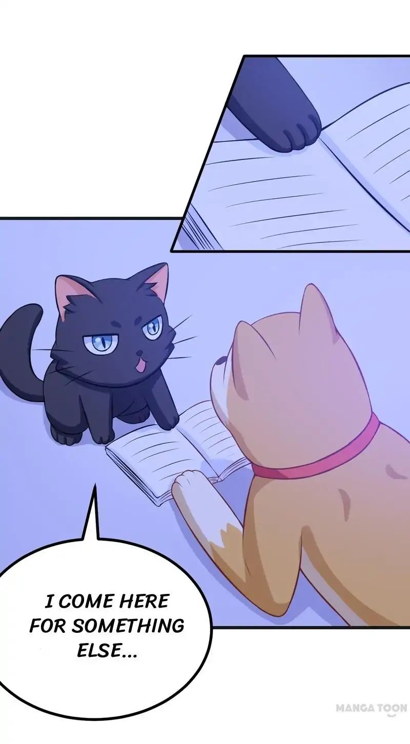 At Your Service, Kitty chapter 82 - page 24