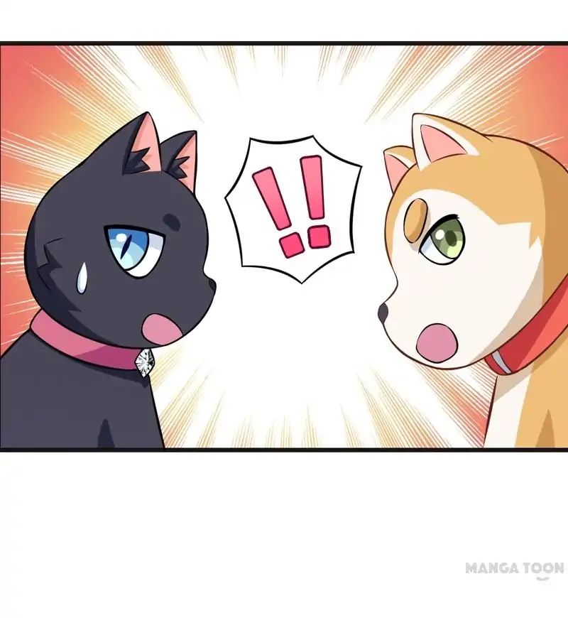 At Your Service, Kitty chapter 82 - page 29
