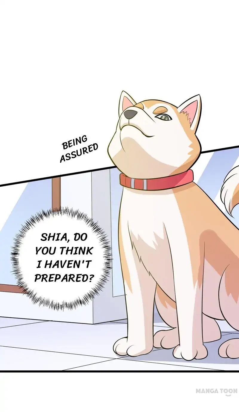 At Your Service, Kitty chapter 78 - page 11