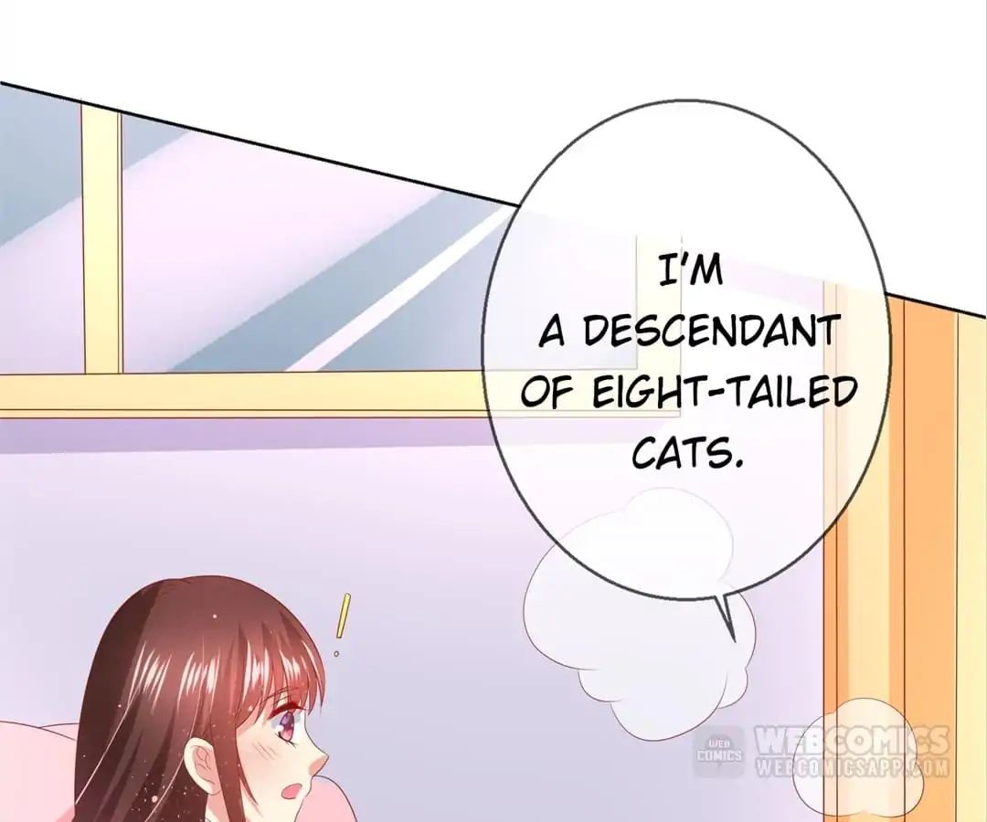 Popular Deskmate is A Cat chapter 78 - page 42