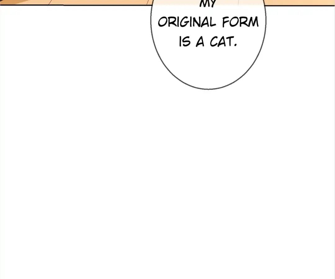 Popular Deskmate is A Cat chapter 78 - page 44