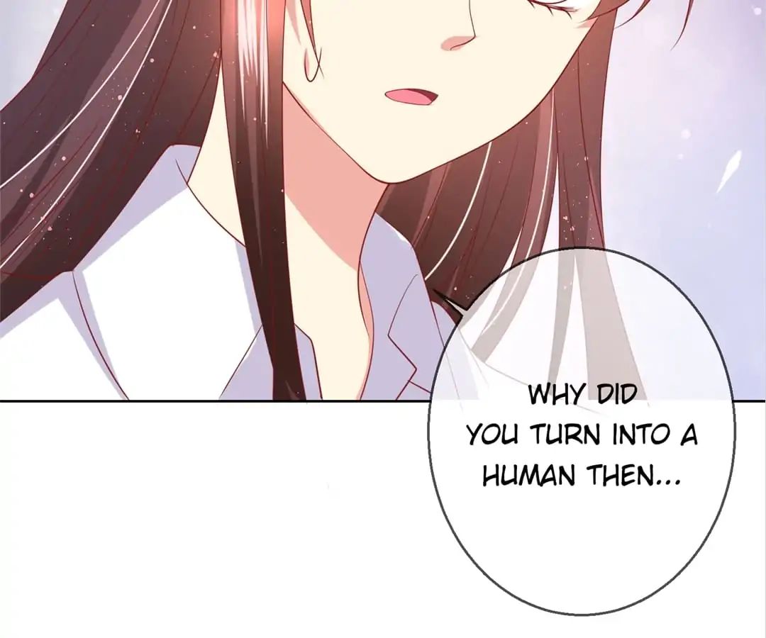 Popular Deskmate is A Cat chapter 78 - page 49