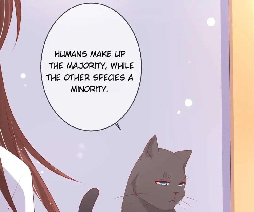 Popular Deskmate is A Cat chapter 78 - page 51