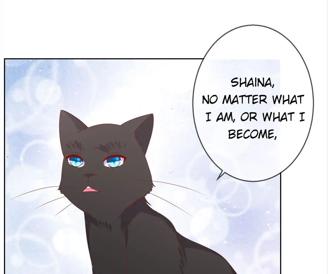 Popular Deskmate is A Cat chapter 78 - page 59