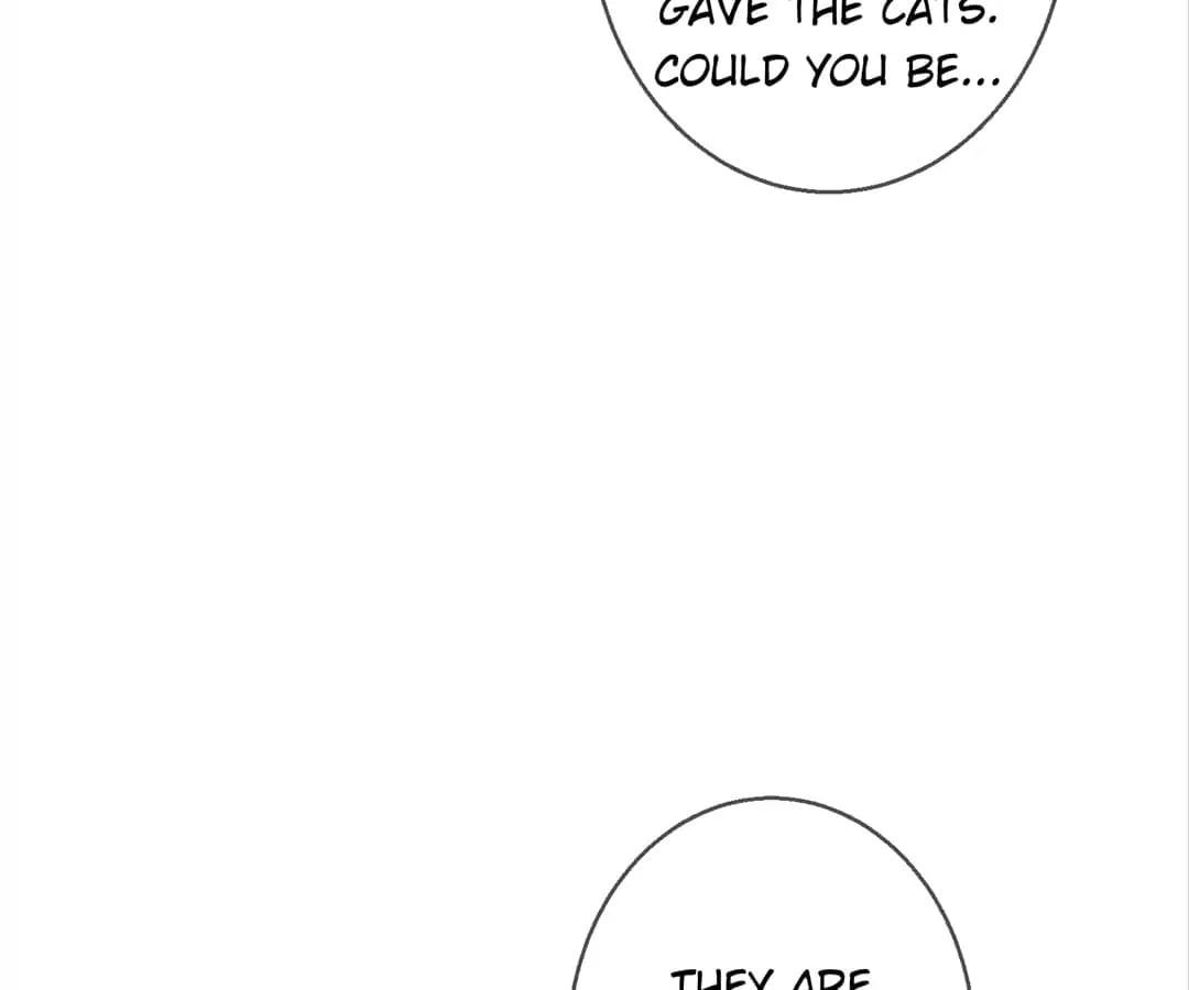 Popular Deskmate is A Cat chapter 78 - page 63