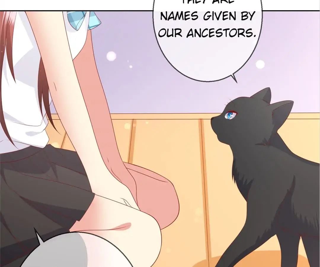 Popular Deskmate is A Cat chapter 78 - page 64