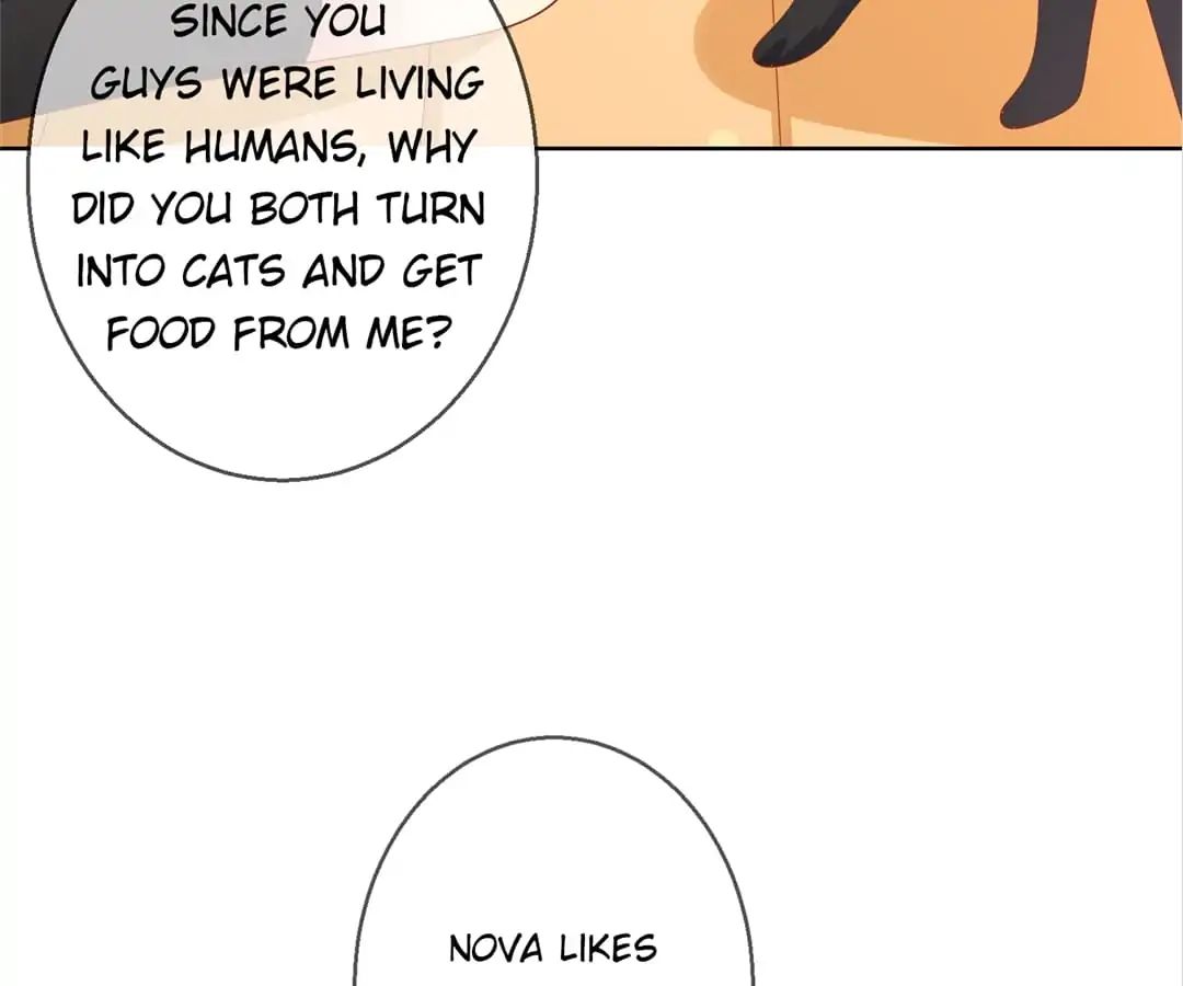 Popular Deskmate is A Cat chapter 78 - page 65
