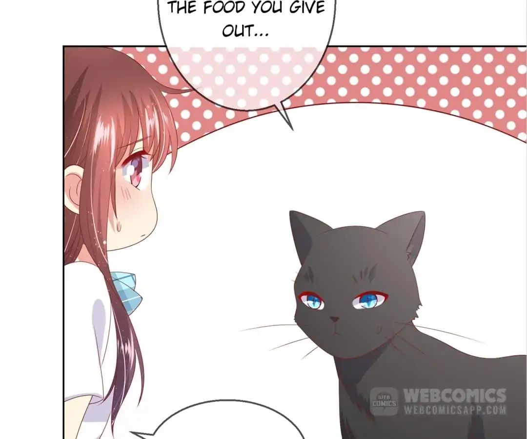 Popular Deskmate is A Cat chapter 78 - page 66
