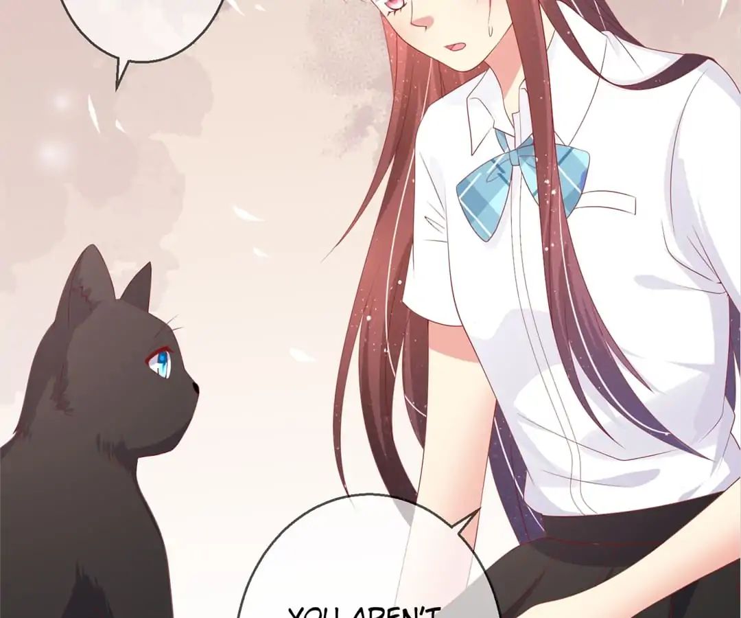 Popular Deskmate is A Cat chapter 78 - page 76