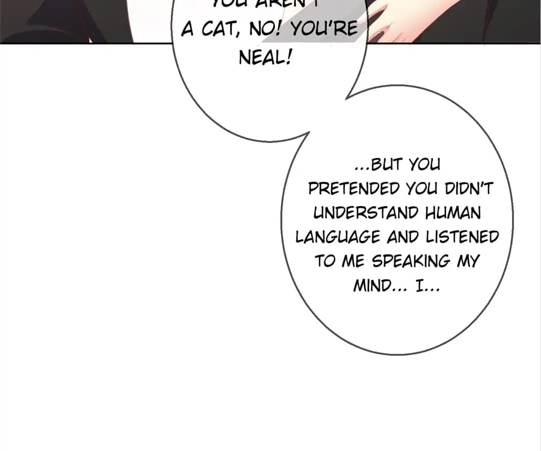 Popular Deskmate is A Cat chapter 78 - page 77