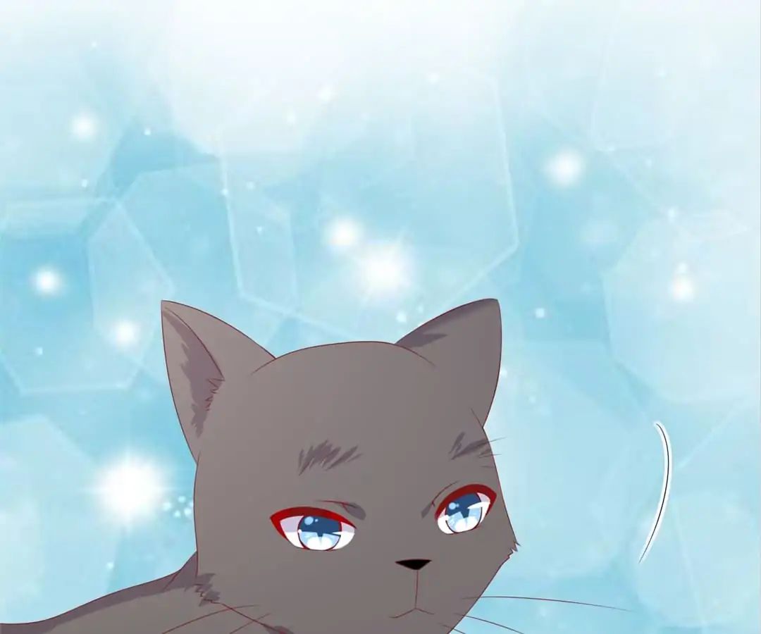 Popular Deskmate is A Cat chapter 78 - page 83