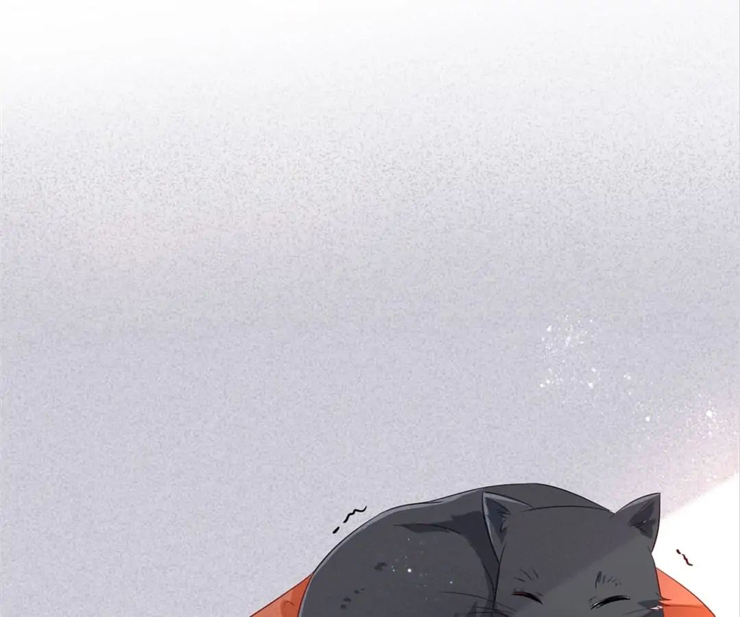 Popular Deskmate is A Cat chapter 77 - page 60