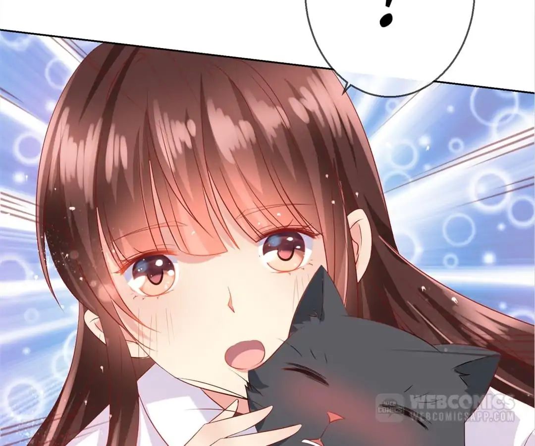 Popular Deskmate is A Cat chapter 77 - page 62