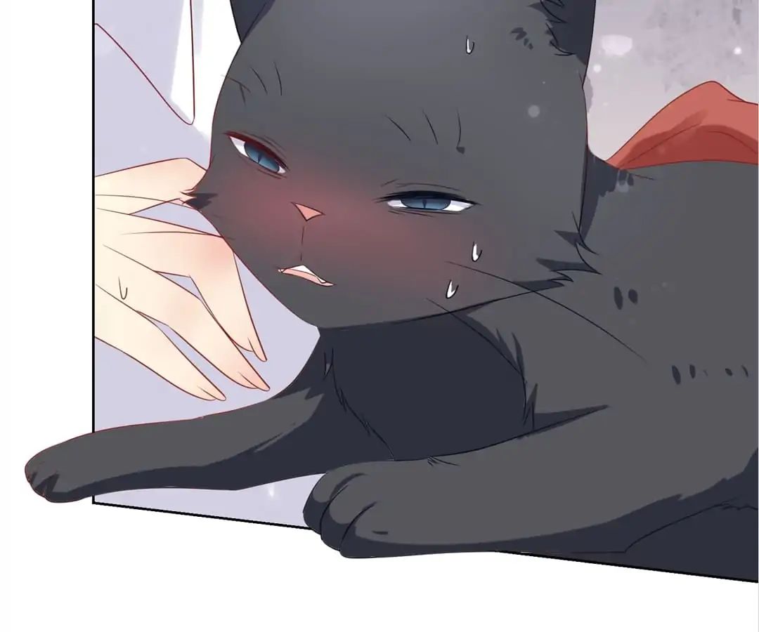 Popular Deskmate is A Cat chapter 77 - page 65