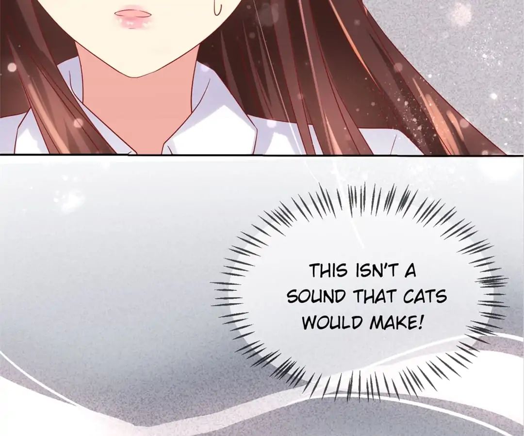 Popular Deskmate is A Cat chapter 77 - page 71