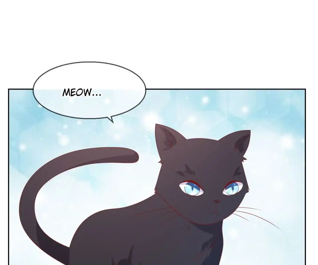 Popular Deskmate is A Cat chapter 70 - page 15