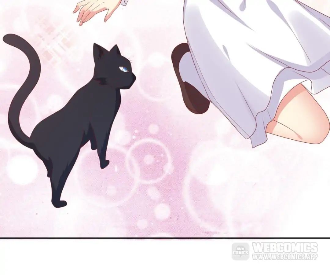 Popular Deskmate is A Cat chapter 70 - page 18