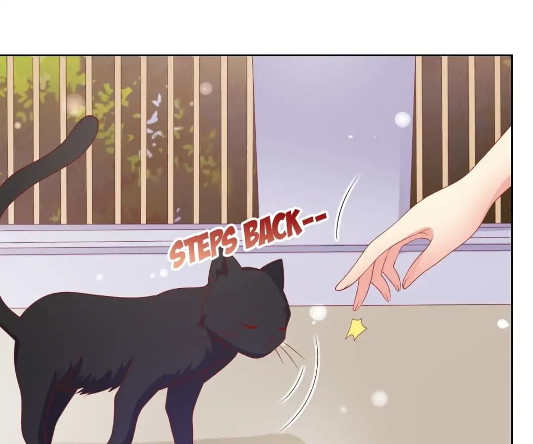 Popular Deskmate is A Cat chapter 70 - page 24