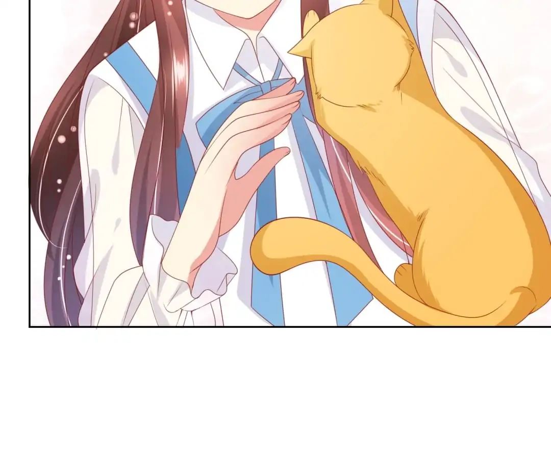 Popular Deskmate is A Cat chapter 70 - page 29