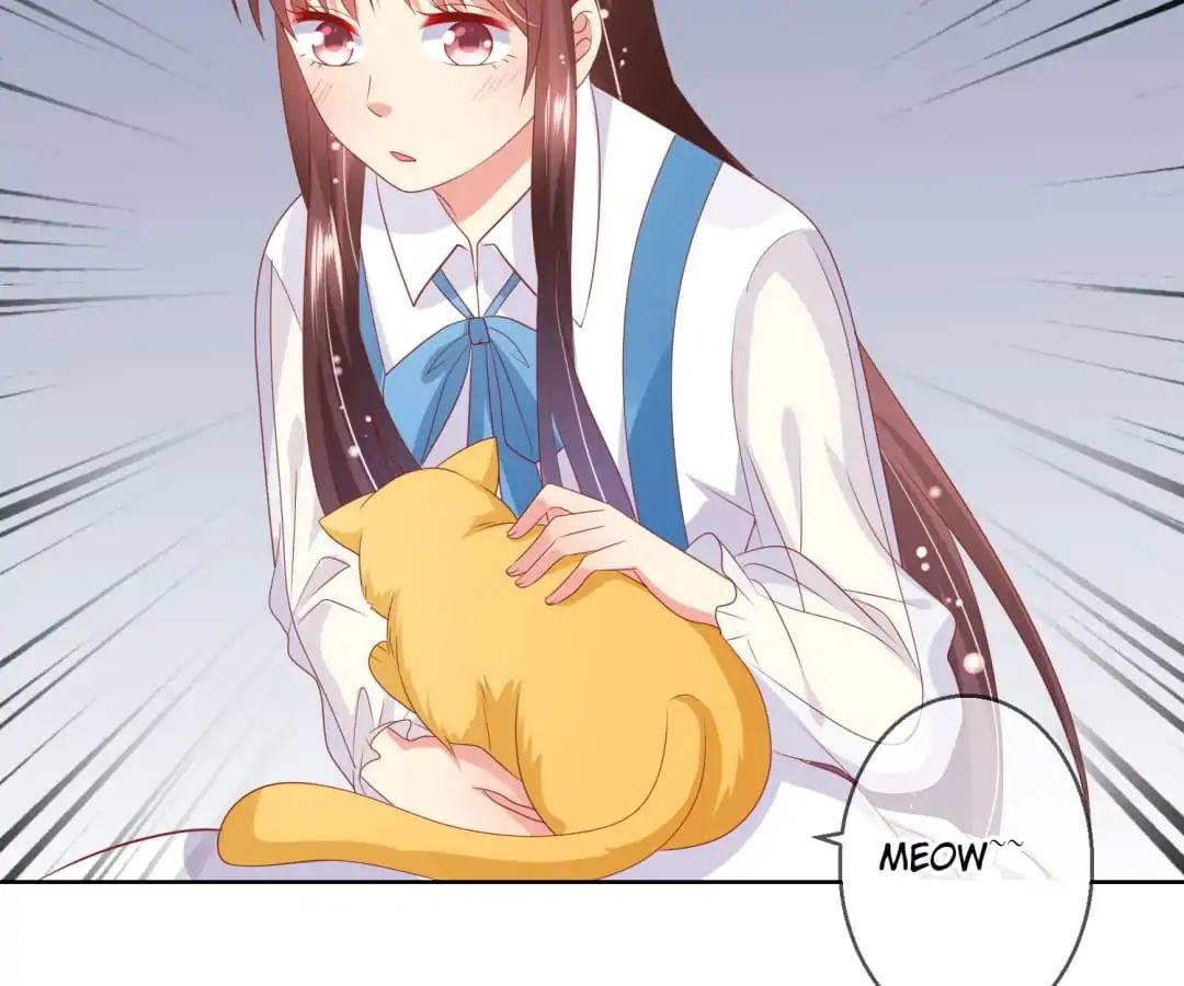 Popular Deskmate is A Cat chapter 70 - page 31