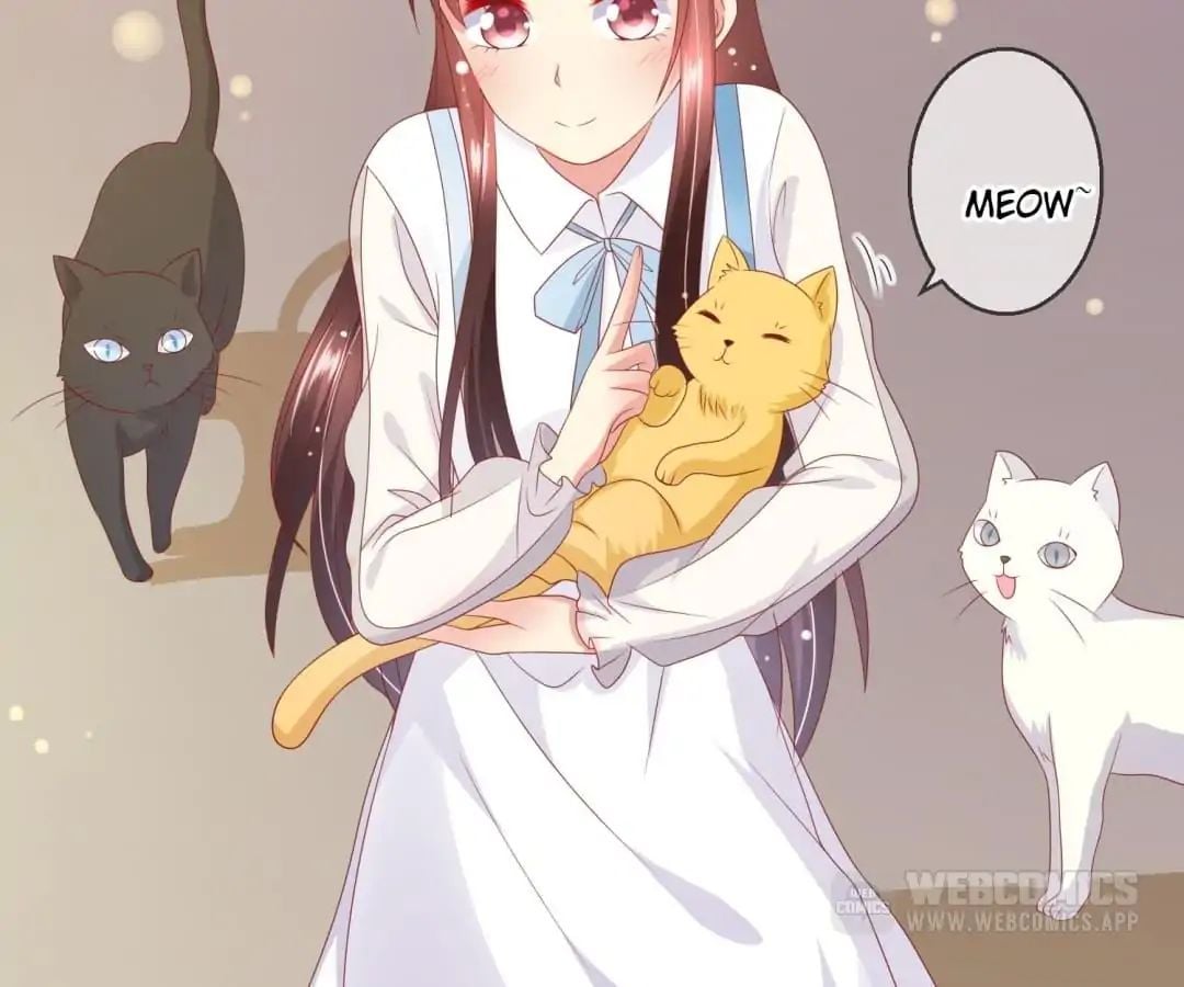 Popular Deskmate is A Cat chapter 70 - page 34