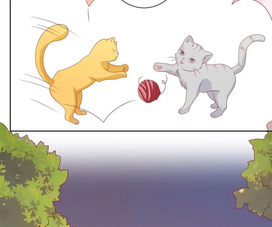 Popular Deskmate is A Cat chapter 70 - page 36