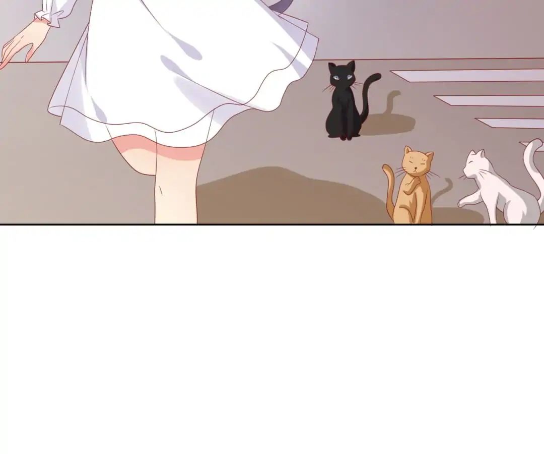 Popular Deskmate is A Cat chapter 70 - page 52