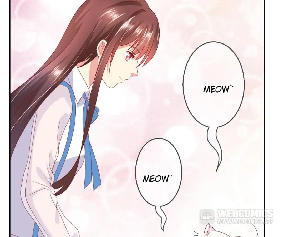 Popular Deskmate is A Cat chapter 70 - page 6