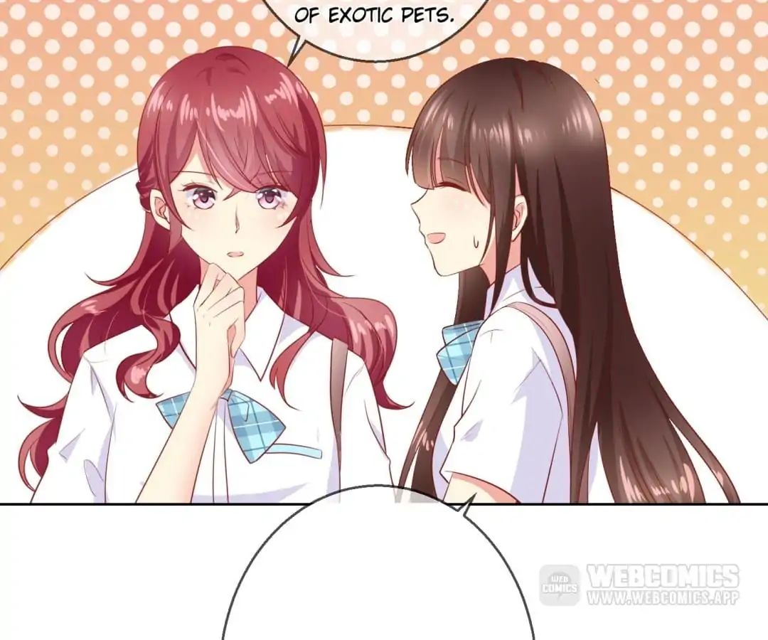 Popular Deskmate is A Cat chapter 67 - page 18