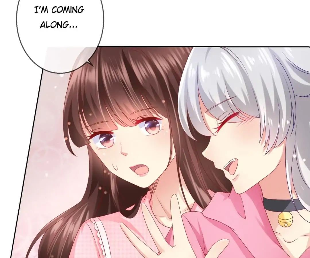 Popular Deskmate is A Cat chapter 47 - page 41