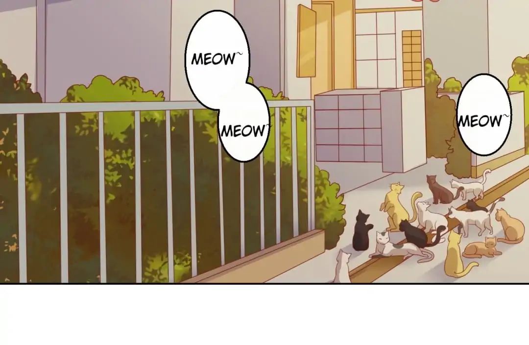 Popular Deskmate is A Cat chapter 46 - page 17